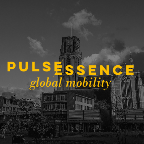 Icon Pulsessence Profile